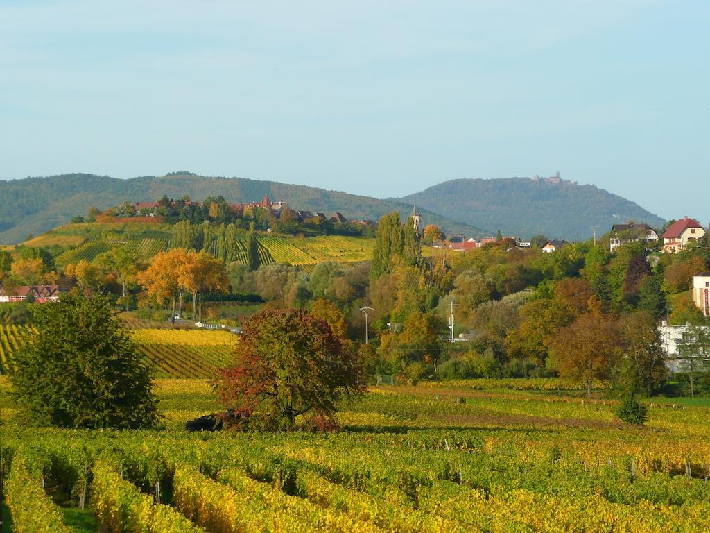Le Gm Chambres D'Hotes De Charme En Alsace ミッテヴィヒエ エクステリア 写真