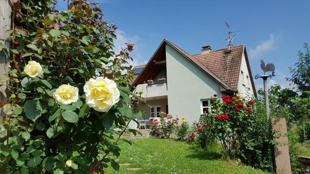Le Gm Chambres D'Hotes De Charme En Alsace ミッテヴィヒエ エクステリア 写真
